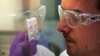 FILE - A researcher for the French Atomic Energy Commission checks an Ebola diagnostic test at the organization's Marcoule site, Nov. 3, 2014. 