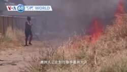 VOA國際60秒：2023年11月30日 