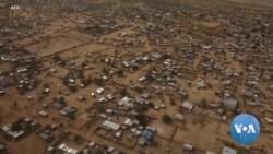 Dia Mundial do Refugiado: A negligência é o novo normal?