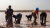 Des femmes nettoient le minerai dans la mine artisanale de cuivre et de cobalt de Kamilombe, près de la ville de Kolwezi, dans le sud-est de la République démocratique du Congo, 20 juin 2023. AFP / Emmet Livingstone

