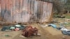 FILE - A picture taken June 16, 2023, shows covered bodies strewn near houses in the West Darfur capital El Geneina, amid ongoing fighting in war-torn Sudan.