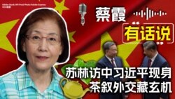 蔡霞有话说：苏林访中习近平现身，茶叙外交藏玄机