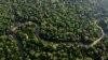 FILE - Rainforest lines the Combu Creek near Belem, Brazil, on Aug. 6, 2023. 