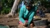 Colombian Indigenous and Afro-descendant archeological assistants work at the Archaeological and Historical Park of Santa Maria de la Antigua del Darien in Unguia, Colombia, in the dense jungle of the Darien near Panama, on Sept. 16, 2023.