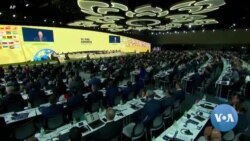 FIFA pondera suspender federação israelita de futebol