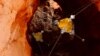 ReachBot, robot inovatif mirip serangga dengan kaki yang dapat diperpanjang yang dirancang untuk beradaptasi menjelajahi medan menantang seperti di Mars (courtesy: Marco Pavone/NASA.gov) 