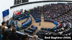 European Parliament