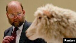 Dr. Ian Wilmut, leader of the team that created Dolly the Sheep, stands next to her as she goes on display at the National Museum of Scotland in Edinburgh, April 9, 2003. Dolly, born on July 5, 1996, was euthanized in February 2003 when it was discovered she had a lung disease. 