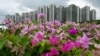 A general view shows condominiums at Forest City, a development project launched under China's Belt and Road Initiative in Gelang Patah in Malaysia's Johor state on Sept. 1, 2023. 