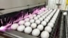 Bird Flu, Weather, Inflation Keep Egg Prices Near Historic Highs 