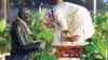 ভারতের স্বরাষ্ট্রমন্ত্রী অমিত শাহের ভাষণে এক বন্ধনীতে মহাত্মা গান্ধী ও নরেন্দ্র মোদী