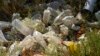 Study Raises Questions About Plastic Pollution's Effect on Heart Health 