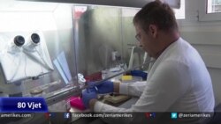 Modele embrionësh për të kuptuar fillimet e jetës 