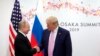 U.S. President Donald Trump, right, and Russian President Vladimir Putin greet each other during a bilateral meeting.