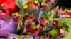 Gardening-Pets and Flowers