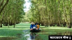 মিকং অঞ্চলে নৌকায় চড়ে ঘুরে দেখছেন পর্যটকরা। (ছবি- অ্যাডোবে স্টক) 