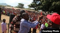 VaNelson Chamisa