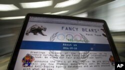 Скриншот веб-сайта группы прокремлевских хакеров - Fancy Bears (fancybear.net) на экране компьютера (архивное фото).