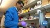 Trump Wants Highly Skilled Migrants, No Green Card Lottery
