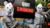 Activists dressed as skeletons participate in an awareness campaign on World No Tobacco Day in Kolkata, india, May 31, 2014.