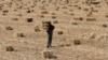 FILE - A worker carries a bale of dry millet at a field on the outskirts of the western Indian city of Ahmedabad, Nov. 17, 2011. 