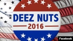 A poster, one of many circulating on social media, shows a campaign button in support of "Deez Nuts" for President in 2016. 