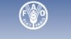 Food Prices Remain High in Poor Countries