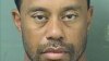 This booking photo obtained May 29, 2017, courtesy of the Palm Beach County Sheriff's Office, shows Tiger Woods.