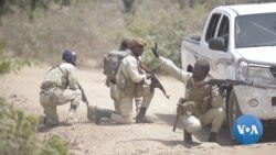 American General: US 'Not Winning' Counterterror Fight in West Africa