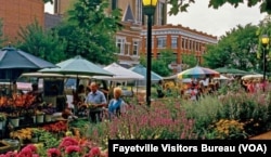 Fayetville, Arkansas