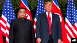 VaKim Jong Un naVaDonald Trump