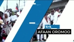 Tamsaasa Guyaadhaa Guyyaa
