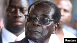 Zimbabwe President Robert Mugabe addresses supporters outside ZANU-PF headquarters, Harare, Oct. 30, 2014.