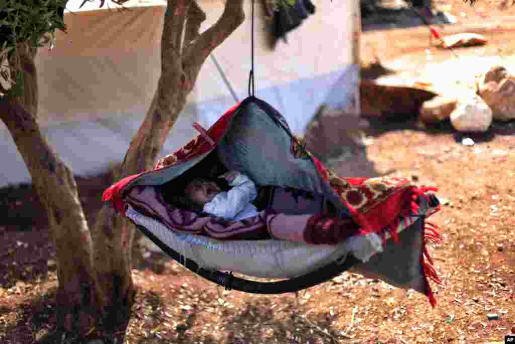 A Syrian baby cries as he lays on a swing attached to a tree at a camp in the Syrian village Atma, near the Turkish border with Syria, November 5, 2012.