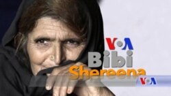 بي بي شیرینه – وي او اې ډيوه په ټیلې ویژن