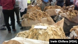 Tobacco auction in Harare