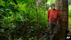 Amazon Rubber Sustainability