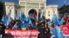 Акция протеста крымских татар в Стамбуле. Архивное фтото