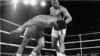Muhammad Ali regarde George Foreman s'écrouler sur le tapis au huitième round de leur match, à Kinshasa, Zaïre, le 30 octobre 1974.