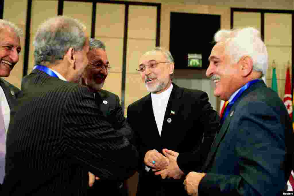 Iran's Foreign Minister Ali Akbar Salehi (2nd R) talks with other attendees before the start of the OIC summit in Cairo February 6, 2013.