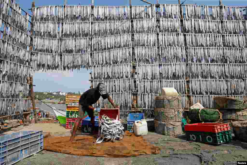 បុរសម្នាក់ចាក់ត្រីចេញពីកញ្ចែ្រងនៅក្នុងភូមិនេសាទនៅទីក្រុង Mumbai ប្រទេសឥណ្ឌាកាលពីថ្ងៃទី៣០ មេសា ២០១៨។