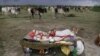 A young Indian child rests near a herd of cattle in Bagodara, India. The showers, which normally run from June to September in large areas of what is now a drought affected the country, Aug. 23, 2012.