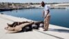 A man inspects the bodies of three African migrants that were recovered by the Libyan coastguard after their boat sunk off the coastal town of Garaboly, east of Tripoli, Sept. 15, 2014.