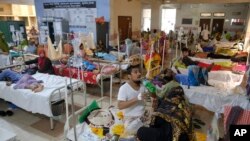 Bangladesh Dengue