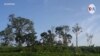 Persiste invasión de colonos a pueblos indígenas de Nicaragua según la CIDH