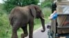 New Travel Rules Could Damage S. African Tourist Industry 