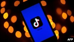图为巴黎一个掌心电脑上显示的TikTok应用（2019年11月21日）