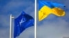«США повинні були використати НАТО, щоб захистити Україну після російського вторгнення» - сенатор 
