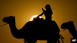 APTOPIX WCup Camel Rides Soccer