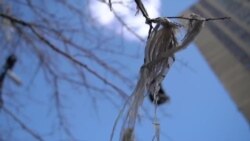 Трэш-арт: пластик в искусстве и под ногами